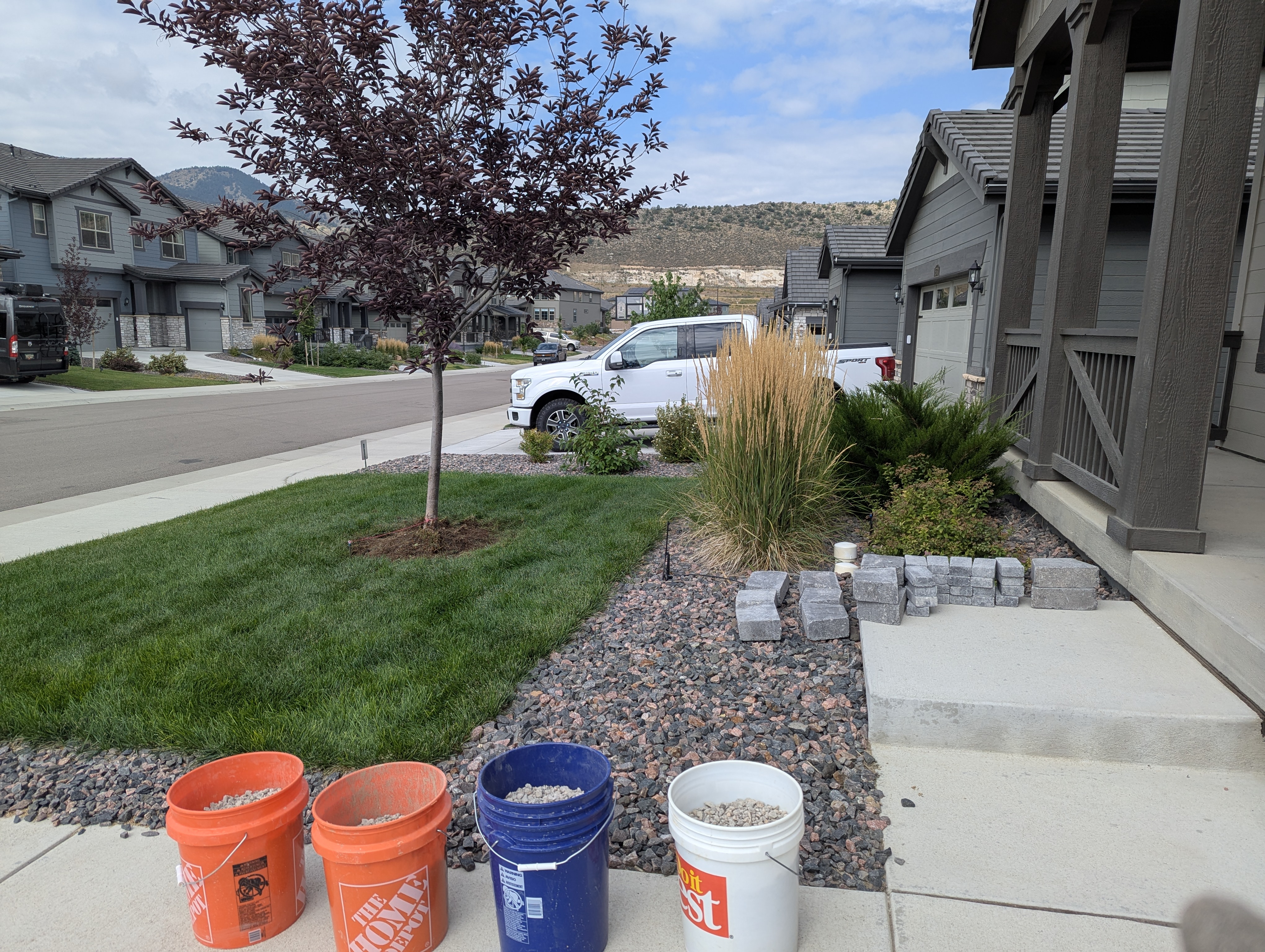 Tree Ring, Home Improvement, Morrison, Colorado